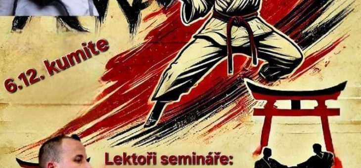 Semináře kumite a kata SKeKK